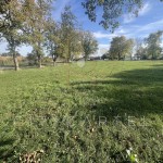 Eladó Építési telek Fonyód Eladó Építési telek Fonyód