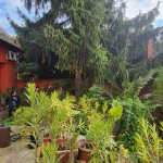 Maklári Hóstyán, felújítás alatt lévő elegáns  kis családi nagy kerttel eladó. 50 M