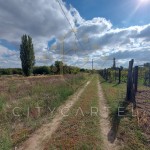 Belterületi beépítetlen terület eladó Bölcskén! Belterületi beépítetlen terület eladó Bölcskén!