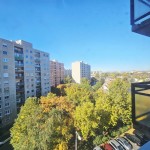 Újhegyen panelprogramos másfél szobás lakás eladó