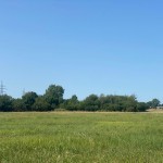 Eladó Ipari terület Eladó Ipari terület